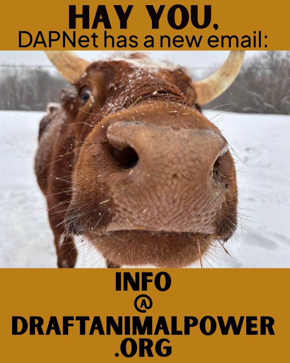new%20email%20alert.jpg