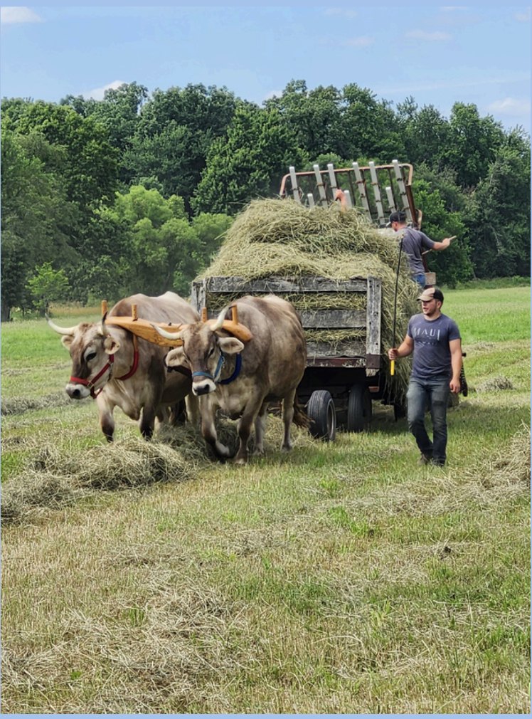 hay%20loader.png
