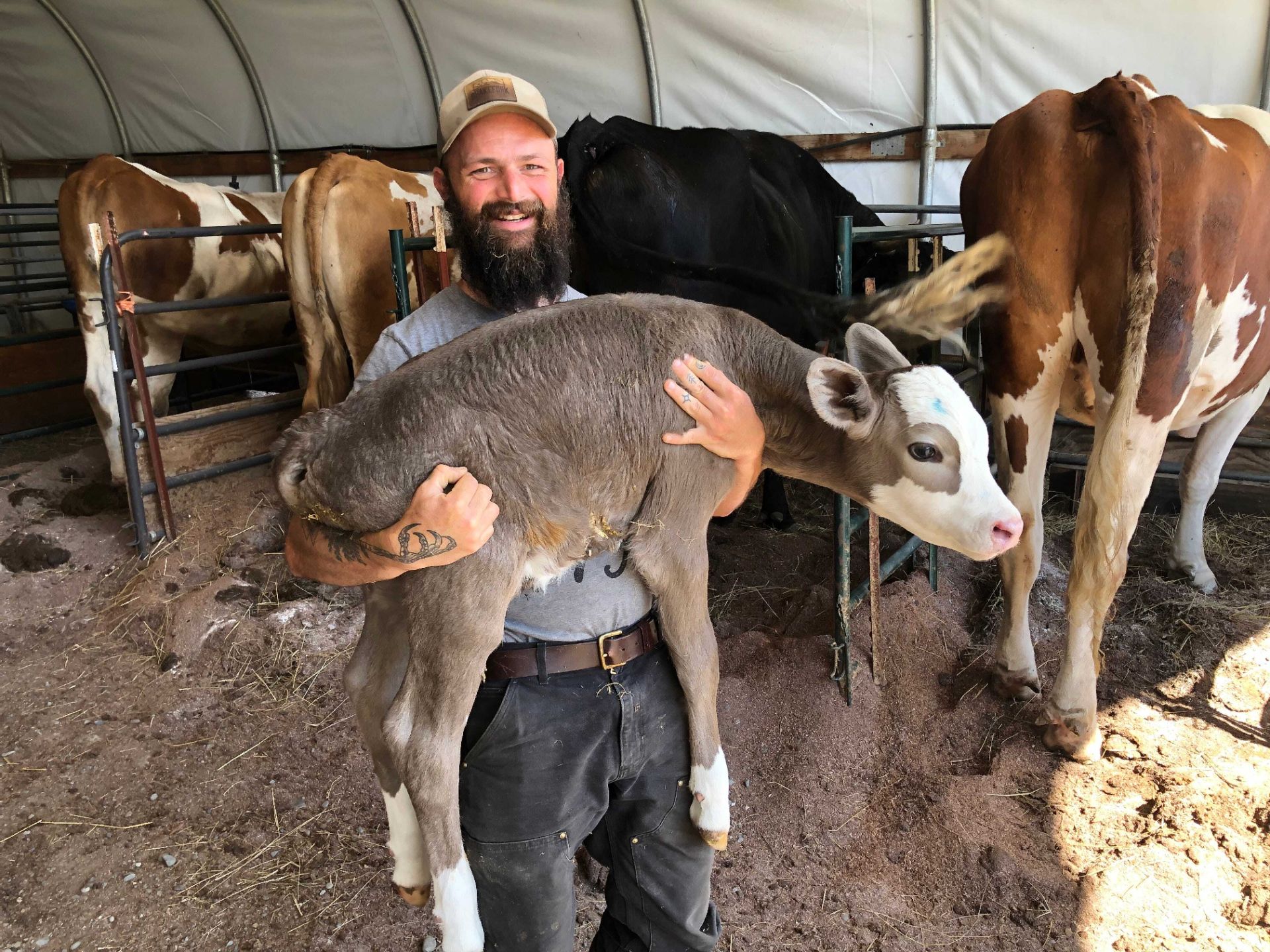 kevin_cunningham%20with%20calf.jpeg
