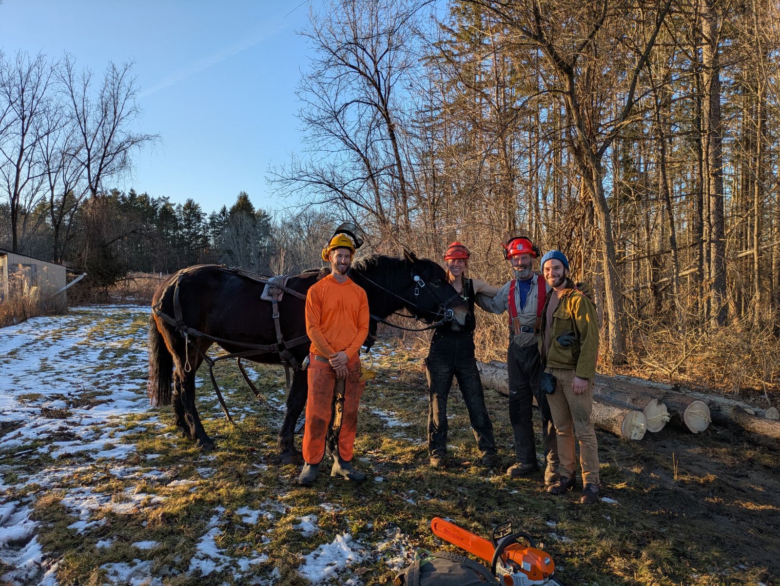 loggingcrewwithhazel.JPEG